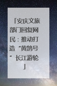 安庆文旅部门回复网民：推动打造“黄鹄号”长江游轮