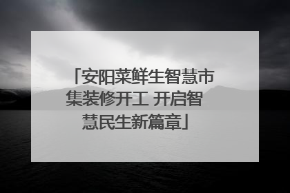 安阳菜鲜生智慧市集装修开工 开启智慧民生新篇章