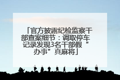 官方披露纪检监察干部查案细节：调取停车记录发现3名干部假“办事”真麻将