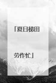 夏日梯田劳作忙