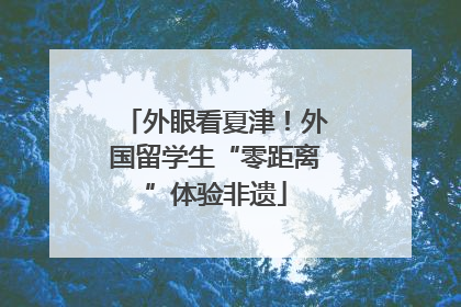 外眼看夏津！外国留学生“零距离”体验非遗