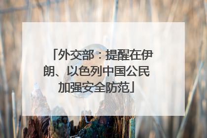 外交部：提醒在伊朗、以色列中国公民加强安全防范