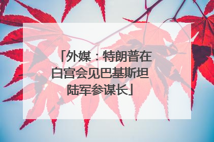 外媒：特朗普在白宫会见巴基斯坦陆军参谋长