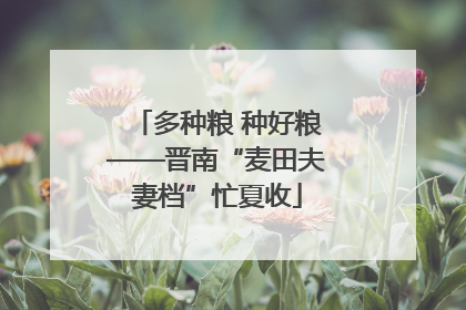多种粮 种好粮——晋南“麦田夫妻档”忙夏收