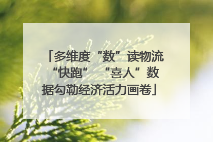 多维度“数”读物流“快跑” “喜人”数据勾勒经济活力画卷
