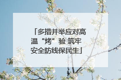 多措并举应对高温“烤”验 筑牢安全防线保民生