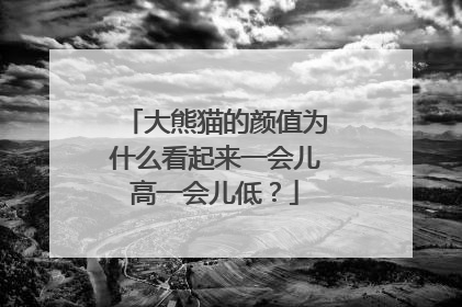 大熊猫的颜值为什么看起来一会儿高一会儿低？