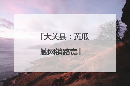 大关县：黄瓜触网销路宽