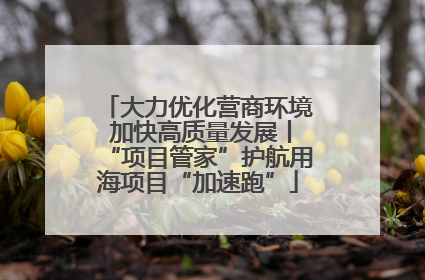 大力优化营商环境 加快高质量发展丨“项目管家”护航用海项目“加速跑”