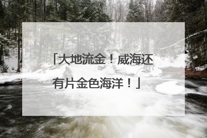 大地流金！威海还有片金色海洋！