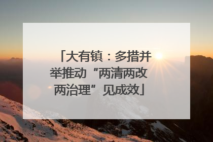大有镇：多措并举推动“两清两改两治理”见成效