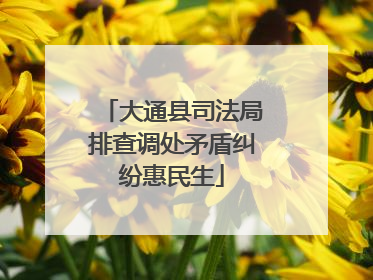 大通县司法局排查调处矛盾纠纷惠民生