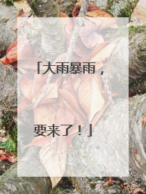 大雨暴雨，要来了！