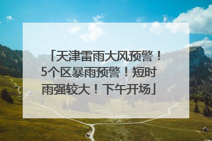 天津雷雨大风预警！5个区暴雨预警！短时雨强较大！下午开场