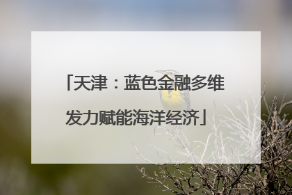 天津：蓝色金融多维发力赋能海洋经济