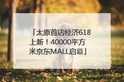 太原首店经济618上新!40000平方米京东MALL启幕