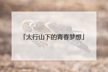 太行山下的青春梦想