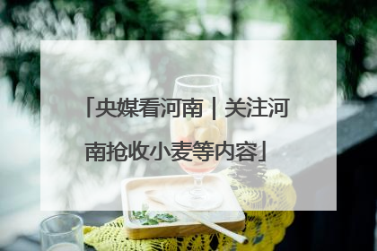 央媒看河南｜关注河南抢收小麦等内容