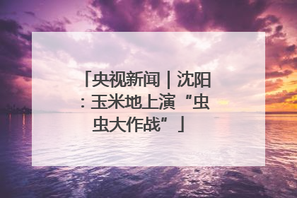 央视新闻｜沈阳：玉米地上演“虫虫大作战”