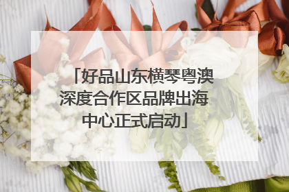 好品山东横琴粤澳深度合作区品牌出海中心正式启动