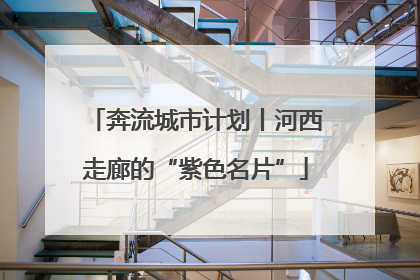 奔流城市计划丨河西走廊的“紫色名片”