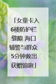 女童卡入6楼防护栏缝隙 海口辅警与群众5分钟救出获赠锦旗