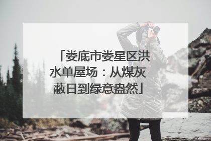 娄底市娄星区洪水单屋场：从煤灰蔽日到绿意盎然
