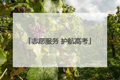 志愿服务 护航高考