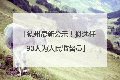 德州最新公示！拟选任90人为人民监督员