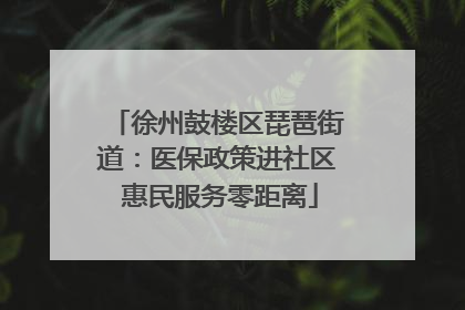 徐州鼓楼区琵琶街道：医保政策进社区 惠民服务零距离