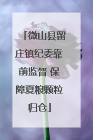 微山县留庄镇纪委靠前监督 保障夏粮颗粒归仓