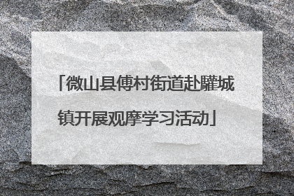 微山县傅村街道赴驩城镇开展观摩学习活动
