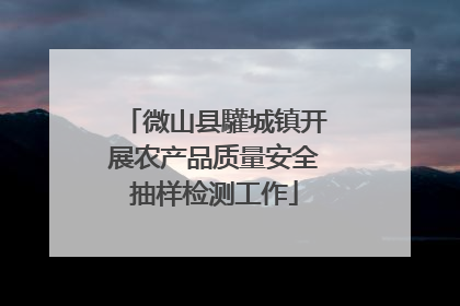 微山县驩城镇开展农产品质量安全抽样检测工作