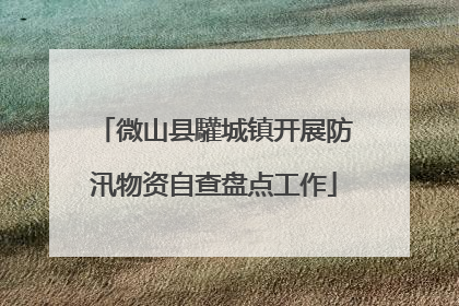 微山县驩城镇开展防汛物资自查盘点工作