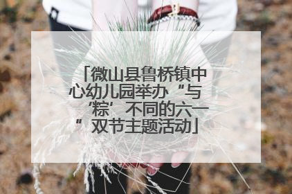 微山县鲁桥镇中心幼儿园举办“与‘粽’不同的六一”双节主题活动