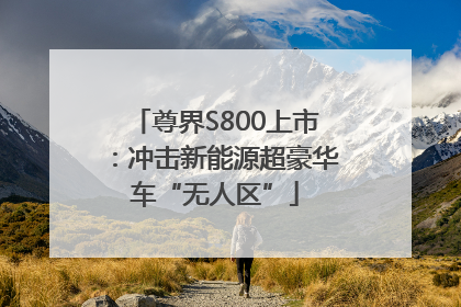 尊界S800上市：冲击新能源超豪华车“无人区”