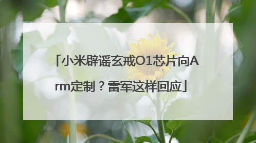 小米辟谣玄戒O1芯片向Arm定制？雷军这样回应