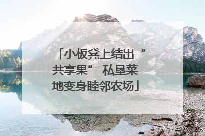 小板凳上结出“共享果” 私垦菜地变身睦邻农场