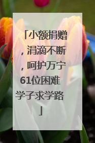 小额捐赠，涓滴不断，呵护万宁61位困难学子求学路