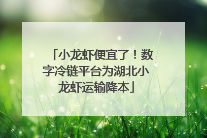 小龙虾便宜了！数字冷链平台为湖北小龙虾运输降本