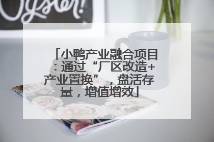 小鸭产业融合项目：通过“厂区改造+产业置换”，盘活存量，增值增效