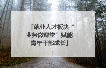 就业人才板块“业务微课堂”赋能青年干部成长