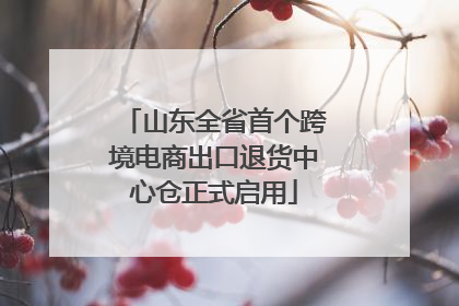 山东全省首个跨境电商出口退货中心仓正式启用