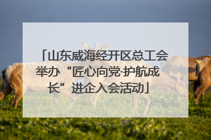 山东威海经开区总工会举办“匠心向党·护航成长”进企入会活动