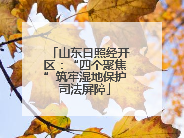 山东日照经开区：“四个聚焦”筑牢湿地保护司法屏障