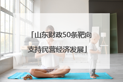 山东财政50条靶向支持民营经济发展