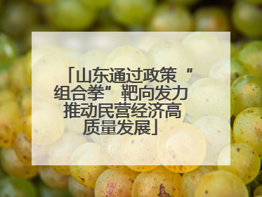 山东通过政策“组合拳”靶向发力 推动民营经济高质量发展