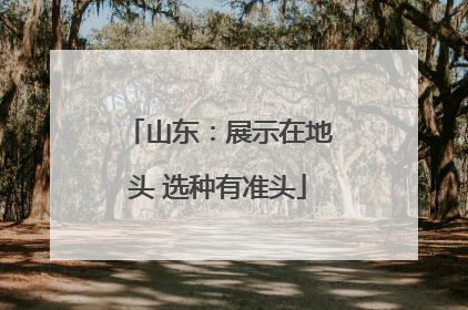 山东：展示在地头 选种有准头