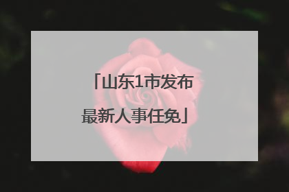 山东1市发布最新人事任免