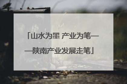 山水为墨 产业为笔——陕南产业发展走笔